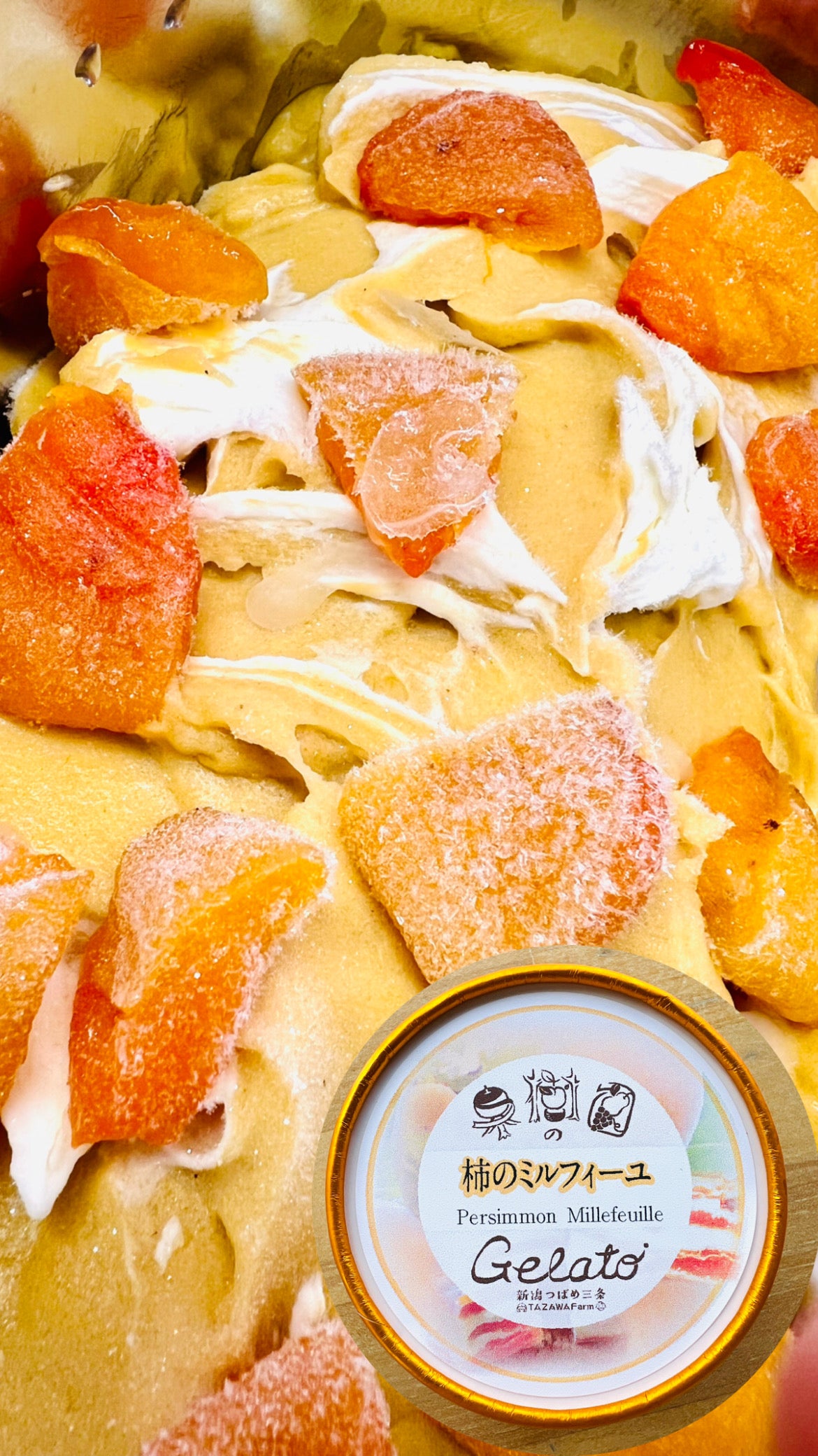 冬ジェラートセレクト6個入【送料無料】
