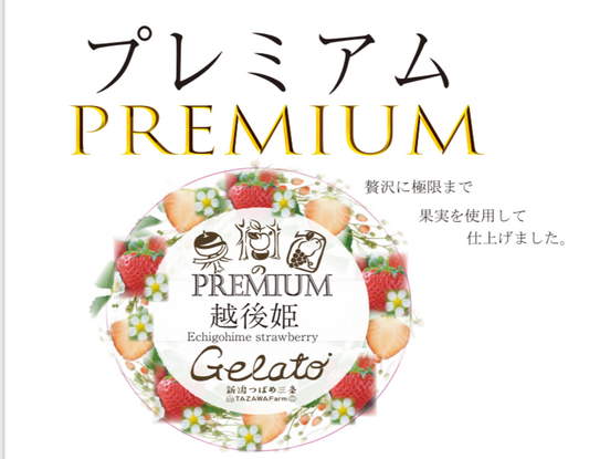 いちご越後姫【プレミアム】12個入