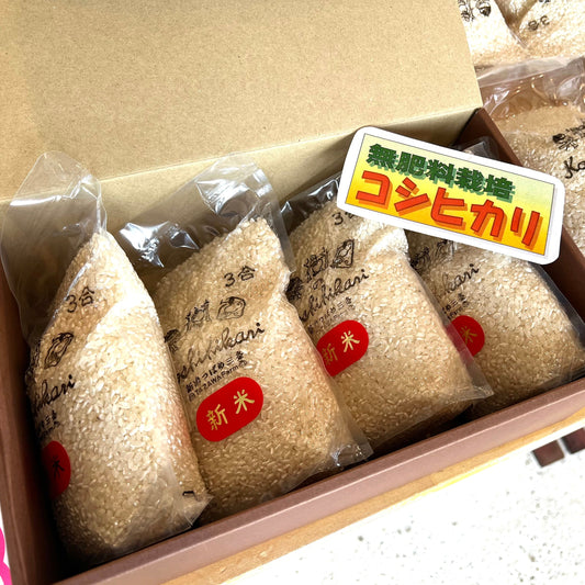 コシヒカリ3合×4パック【送料無料】