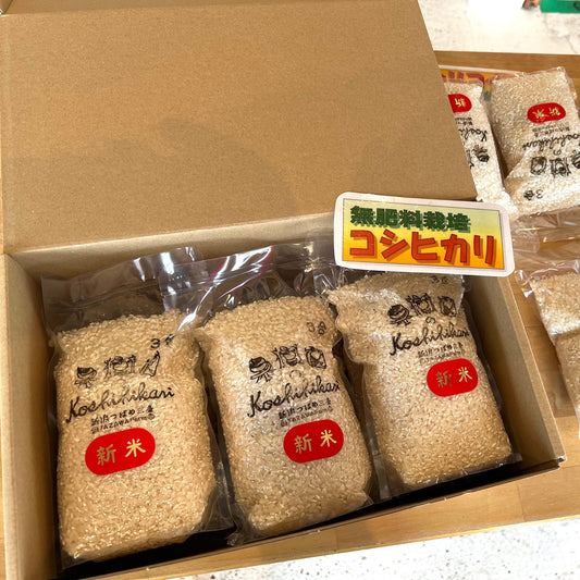 コシヒカリ3合×6パック【送料無料】