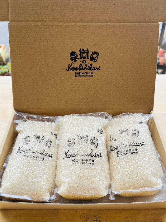 コシヒカリ3合×3パック【送料無料】